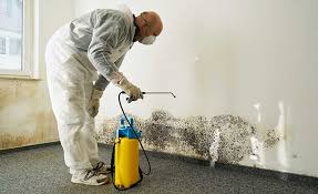 Mold Removal for HVAC Installations